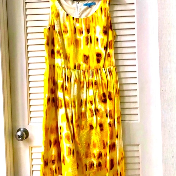 LAST CHANCE! Antonio Melani Yellow Print Sundress - Picture 5 of 10